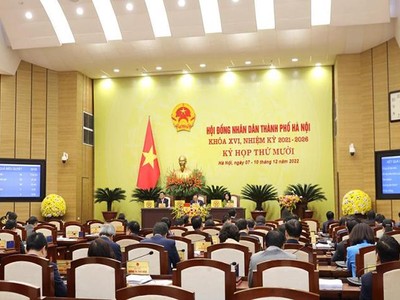 Hà Nội thông qua danh mục 1.445 dự án chuyển mục đích đất trồng lúa năm 2023