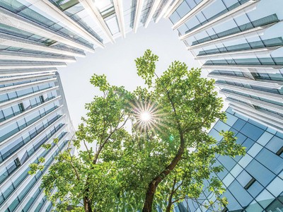 Các doanh nghiệp Việt Nam cần đẩy nhanh tiến độ của các ưu tiên ESG để tạo sự khác biệt trên thị trường vốn và lao động.