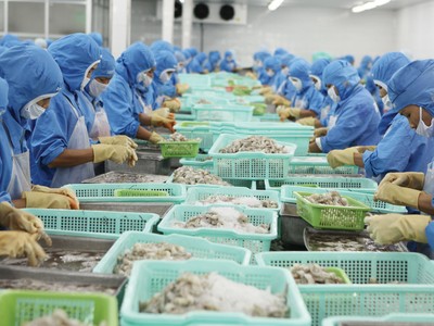 Đơn hàng xuất khẩu của các doanh nghiệp Việt Nam đang chậm lại.