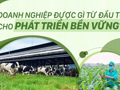 Doanh nghiệp được gì từ đầu tư cho phát triển bền vững?