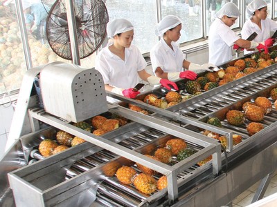 Lợi nhuận của Afiex chủ yếu tới từ hoạt động kinh doanh nông, lâm, thủy sản.