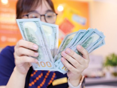 Các áp lực đối với lãi suất như tỷ giá, lạm phát trong nước vẫn lớn.