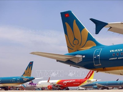 Máy bay của các hãng hàng không tại sân bay Nội Bài (Hà Nội). Ảnh tư liệu: TTXVN.