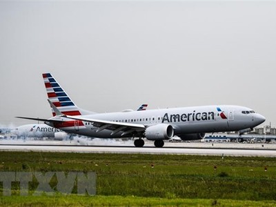 Máy bay của hãng hàng không American Airlines tại sân bay quốc tế Miami. (Ảnh: AFP/TTXVN).