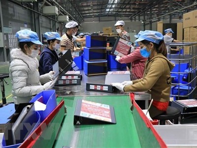 Công nhân lao động làm việc tại Công ty TNHH Deli Việt Nam, Khu công nghiệp Yên Phong, tỉnh Bắc Ninh. (Ảnh: Thanh Thương/TTXVN).