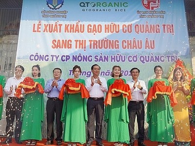 Lần đầu tiên, 15 tấn gạo hữu cơ của tỉnh Quảng Trị được xuất khẩu sang châu Âu.