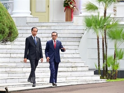 Tổng thống Indonesia Joko Widodo (trái) và Thủ tướng Timor Leste Taur Matan Ruak tại cuộc gặp ở Bogor ngày 13/2. (Ảnh: AFP/TTXVN)