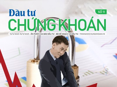 Đầu tư Chứng khoán số 11/2023