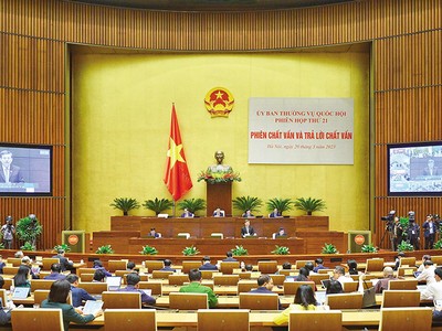 Viện trưởng Viện Kiểm sát Nhân dân tối cao Lê Minh Trí trả lời chất vấn tại Phiên họp thứ 21 của Ủy ban Thường vụ Quốc hội.