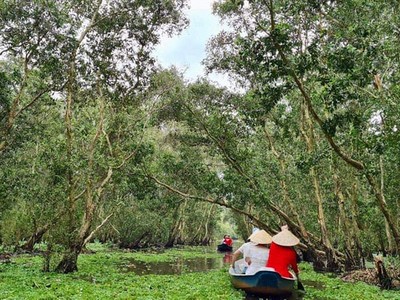 Rừng tràm Trà Sư (huyện Tịnh Biên, tỉnh An Giang) là một trong những điểm tham quan du lịch nổi tiếng của vùng Đồng bằng sông Cửu Long.