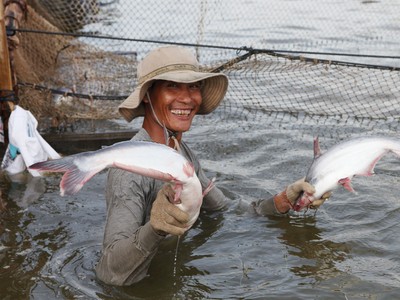 Tôm và cá tra là hai mặt hàng có tỷ trọng xuất khẩu lớn nhất của ngành thủy sản Việt Nam.