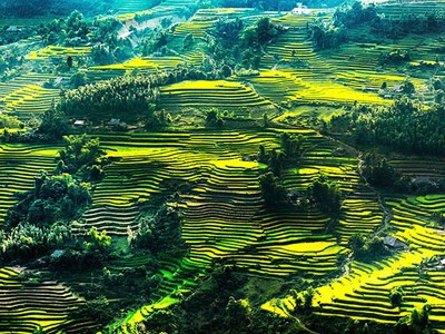 Ruộng bậc thang ở Hà Giang.