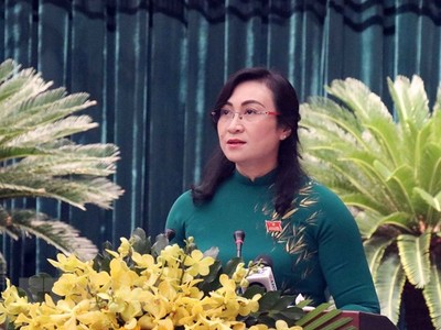 Bà Phan Thị Thắng là thành viên Ban Chỉ đạo cải cách hành chính của Chính phủ. (Ảnh: Xuân Khu/TTXVN).