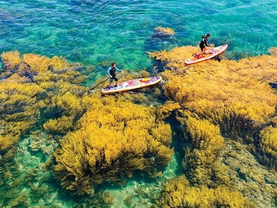 Việt Nam có nhiều lợi thế về du lịch biển đảo, nhưng khai thác chưa tương xứng tiềm năng.