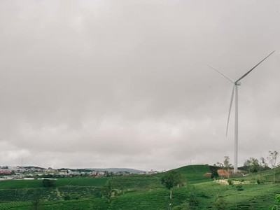 Lâm Đồng gia hạn, điều chỉnh Dự án Nhà máy điện gió Cầu Đất