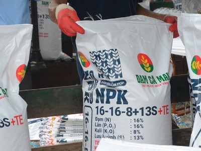 Giá nhiều loại phân bón giảm mạnh kể từ quý IV/2022 đến nay.