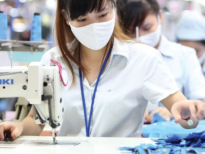 Các doanh nghiệp xuất khẩu đang trong tình trạng đói đơn hàng.