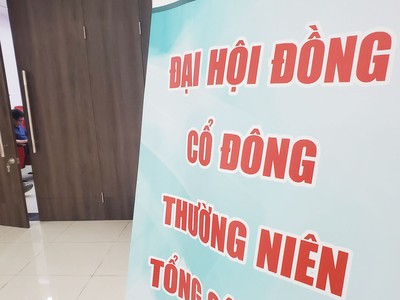 Cổ đông nhỏ là thành phần quan trọng trong giám sát và đảm bảo quản trị hiệu quả cho công ty.