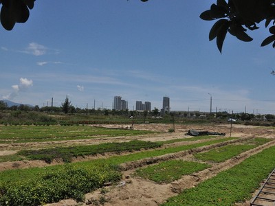 Dù được triển khai từ lâu nhưng Khu đô thị số 11 của Công ty TNHH Chí Thành vẫn chưa hoàn thành.