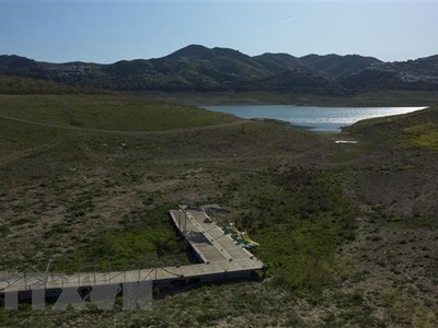 Tây Ban Nha sẽ chi 2 tỷ euro hỗ trợ nông nghiệp bị ảnh hưởng hạn hán