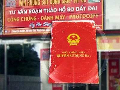 Tuyên Quang: Tạm đình chỉ công tác Chủ tịch UBND xã Tam Đa