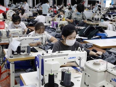 Ảnh minh họa. (Ảnh: Trần Việt/TTXVN)