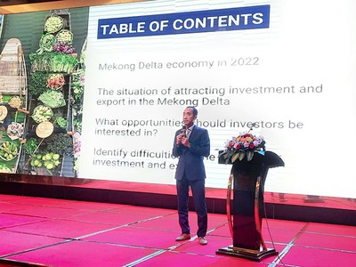 Giám đốc VCCI Cần Thơ cho rằng, vùng ĐBSCL cần có những chiến lược thu hút nguồn vốn đầu tư của cả doanh nghiệp trong và ngoài nước một cách hiệu quả, tận dụng triệt để các thế mạnh vốn có.