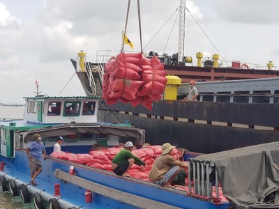 Việt Nam là nước xuất khẩu gạo lớn thứ ba thế giới, có sức cạnh tranh cao