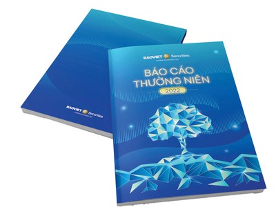 Sức bền của BVSC