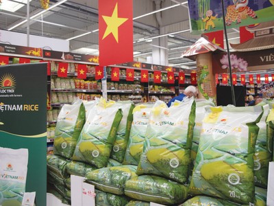 Gạo Cơm Việt Nam Rice xuất khẩu vào châu Âu.