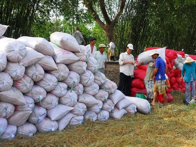 Bộ Công thương đề nghị các doanh nghiệp tránh mua gom ồ ạt gây bất ổn thị trường, mất cân đối cung cầu cục bộ đẩy giá lúa gạo trong nước tăng bất hợp lý.