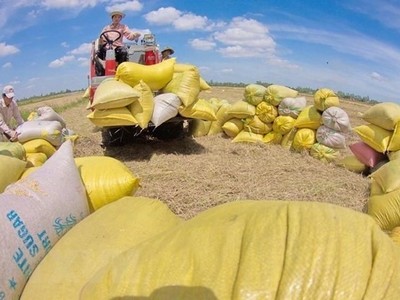 Xuất khẩu hàng hóa của cả nước đã trở lại mốc trên 30 tỷ USD trong tháng 7/2023.