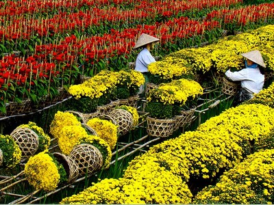 Festival Hoa Sa Đéc sẽ diễn ra từ 30/12/2023 đến 5/1/2024