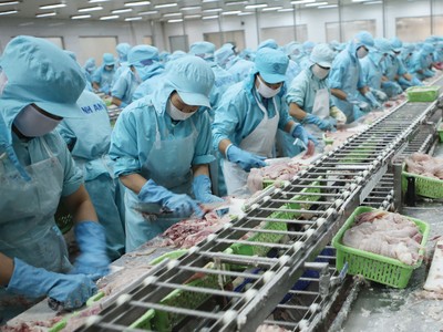 Các doanh nghiệp thủy sản đang chuẩn bị cho mùa tiêu dùng cuối năm.