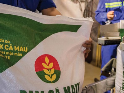 Nhu cầu phân bón trong nước và xuất khẩu được dự báo gia tăng.