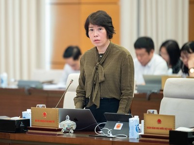 Thứ trưởng Bộ Kế hoạch và Đầu tư Nguyễn Thị Bích Ngọc phát biểu tại phiên họp.