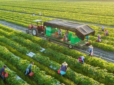 Việc phát triển nông nghiệp đa giá trị phải bắt đầu từ người nông dân, họ phải sẵn lòng chuyên nghiệp hóa chính mình.