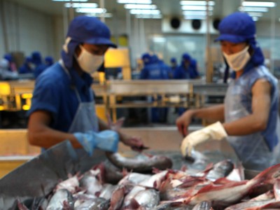 Cá tra là một trong những sản phẩm được kỳ vọng sẽ dần gia tăng sản lượng xuất khẩu.