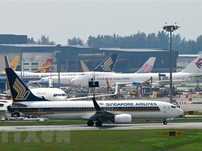 Máy bay của hãng hàng không Singapore Airlines tại sân bay Changi ở Singapore. (Ảnh: AFP/TTXVN)