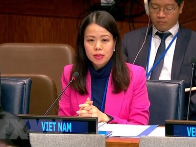 Bà Nguyễn Minh Hằng phát biểu tại Trụ sở Liên hợp quốc ở New York, Mỹ. (Ảnh: TTXVN)