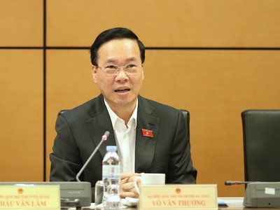 Chủ tịch nước Võ Văn Thưởng phát biểu tại tổ. Ảnh Duy Linh.