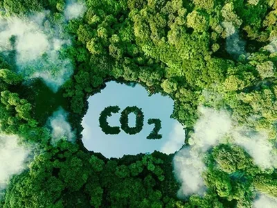 Cơ hội rộng mở để đầu tư thị trường carbon tại Việt Nam