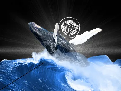 Quý I/2026, nhóm các nhà đầu tư "cá voi" Bitcoin cắt lỗ hơn 30 tỷ USD