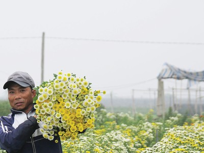 Những đồng vốn từ Agribank đang khiến đất cằn nở hoa…