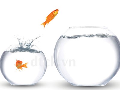 Phong thủy nhà ở với sức khỏe con người