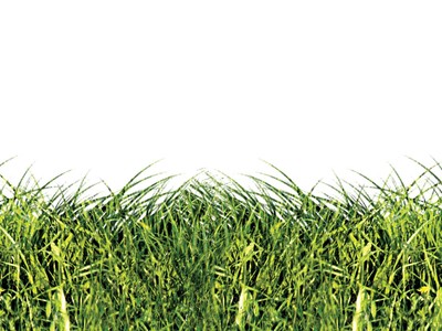 “Xanh” phải từ nhận thức đến hành động