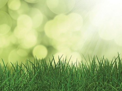 Phát triển bền vững: Động lực lâu bền cho tăng trưởng