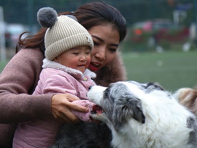 Năm Tuất nói chuyện thế giới chó cưng