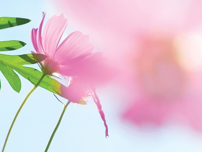 Kiếm tiền từ không khí