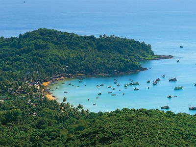 Học Nhật Bản, Hàn Quốc về mô hình tăng trưởng xanh